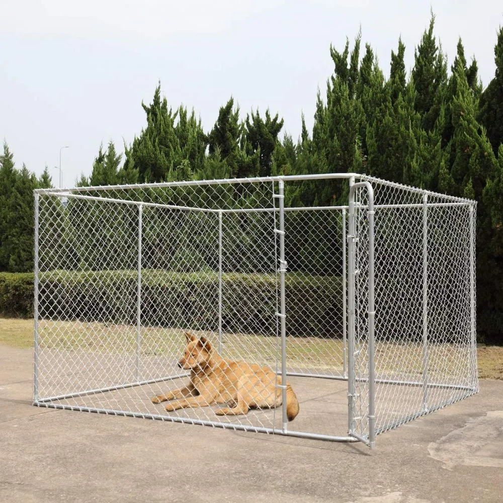 Dog Kennels in Las Vegas, NV